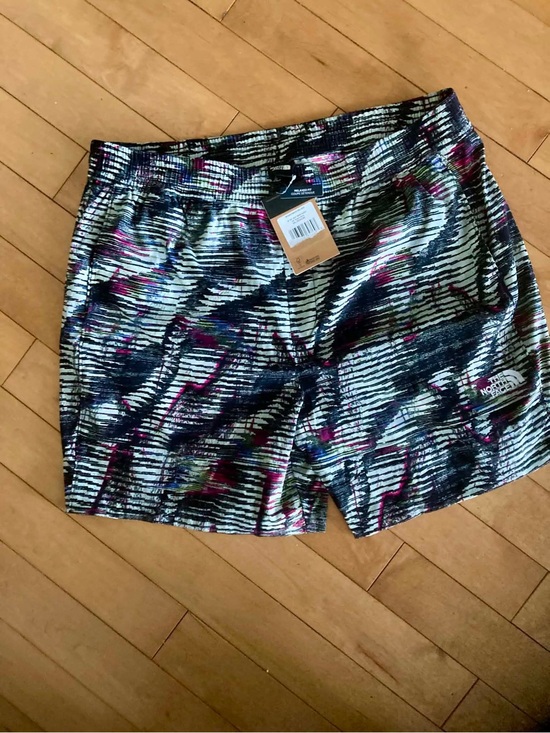 The North Face Other - The North Face Multi-Color Striped Performance Shorts